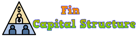 Fin Capital Structure